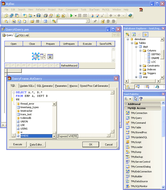 image listview delphi runtime from database